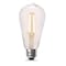 Feit Electric Feit ST19 E26 (Medium) Filament LED Bulb Soft White 60 Watt Equivalence 2 pk ST1960/CL927CA2 - alternate 2